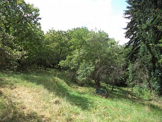 Pozemek pro samostatně stojící RD v Brně Bosonohách