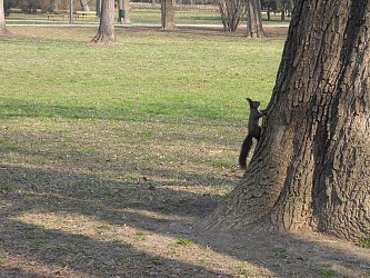 park Lužánky