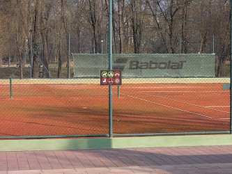 tenis