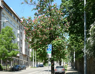 Prodej bytu 3+kk 78m2, Úvoz.