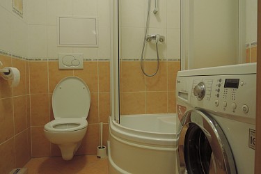 Pronájem bytu Černovice