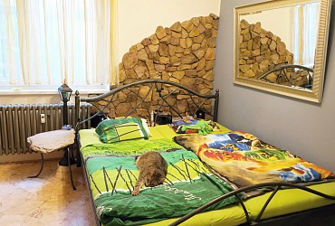 Pronájem bytu 3+1 s balkonem Brno Starý Lískovec
