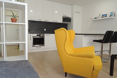 Pronájem zařízeného ateliéru 1+kk, Mlýnská