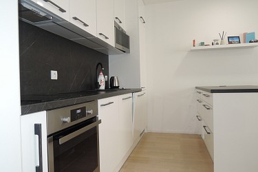 Pronájem zařízeného ateliéru 1+kk, Mlýnská