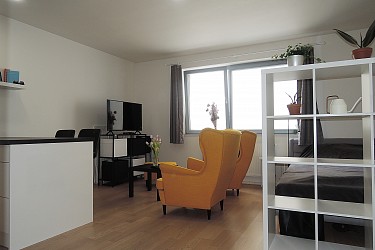 Pronájem zařízeného ateliéru 1+kk, Mlýnská