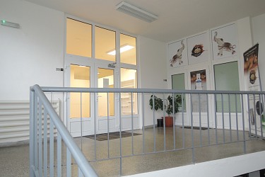 Pronájem kancelářských prostor 100 m2, Jílová