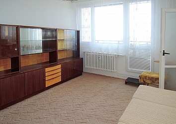 Prodej panelového bytu 1+1, Lesná.