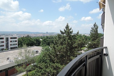 Prodej panelového bytu 1+1, Lesná.
