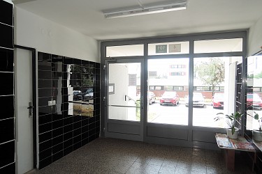 Prodej panelového bytu 1+1, Lesná.