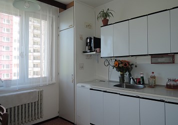 Prodej bytu 3+1, Bystrc, Rerychova