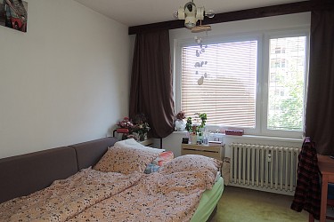 Prodej bytu 3+1, Bystrc, Rerychova