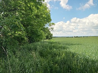 Prodej stavebního pozemku, Velká Bíteš - Bezděkov