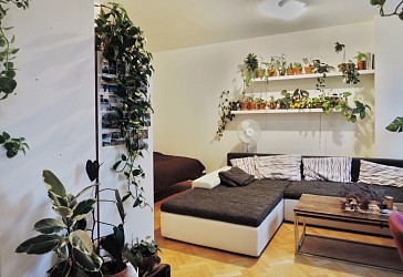 Pronájem nezařízeného bytu 1+kk 42m2 v Brně