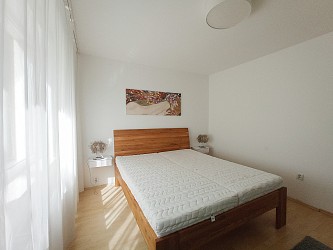 Pronájem RD v Brně