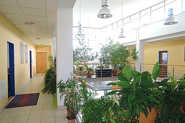 Pronájem kanceláře 24m2 v blízkosti OC Futurum, Vídeňská