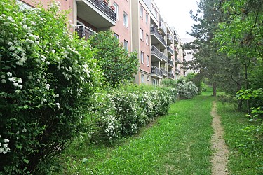 Prodej cihlového bytu 4+kk v Brně - Medlánkách