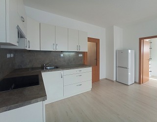 Pronájem bytu 2+kk s balkonem a parkovacím stáním, Bystrc Kamechy