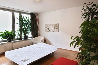 Pronájem bytu 1+kk 40m2 na ulici Spálená Brno