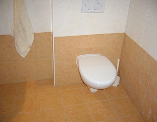 Pronájem cihlového bytu 1+kk s balkonem v centru Brna