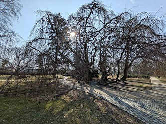 Prodej bytového domu, Lipník nad Bečvou