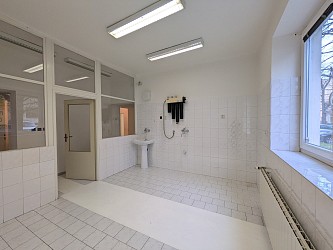 Pronájem obchodních nebo kancelářských  prostor, Královo Pole, Vodova