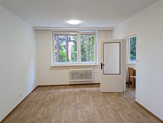 Pronájem bytu 2+1, Kunštátská Řečkovice