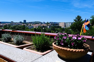 Prodej cihlového bytu 4+kk v Brně - Králově Poli