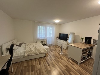 Pronájem bytu 1+kk s balkonem v Brně Kamechách