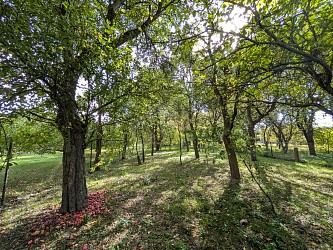 Prodej RD se zahradou, Březina u Tišnova