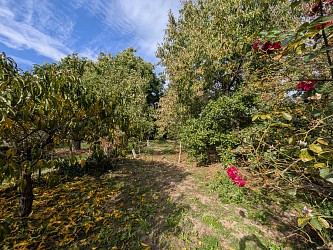 Prodej RD se zahradou, Březina u Tišnova