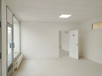 Pronájem obchodních nebo kancelářských prostor, Palackého třída