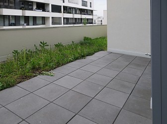 Pronájem bytu 3+kk s terasou a parkováním Brno Bystrc