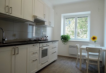 Pronájem cihlového bytu 1+1 41m2 v blízkosti centra Brna