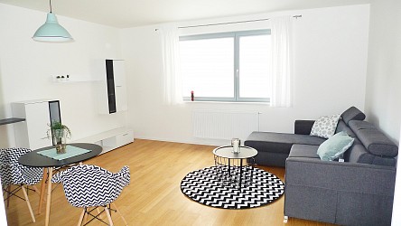 Pronájem ateliéru 1+kk, ulice Mlýnská