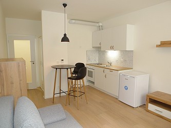 Pronájem novostavby 1+kk, Mlýnská