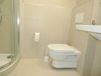 Pronájem novostavby 1+kk, Mlýnská
