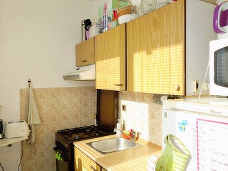 Pronájem bytu 2+1 s balkonem na ulici Ostružinová Brno
