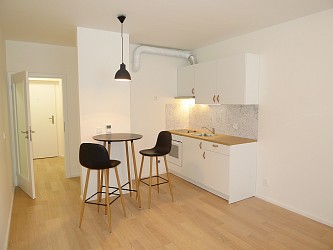Pronájem novostavby ateliéru 1+kk, Mlýnská