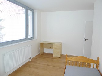 Pronájem novostavby 3+kk, Mlýnská