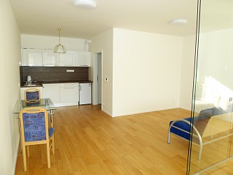 Pronájem novostavby 2+kk, Mlýnská