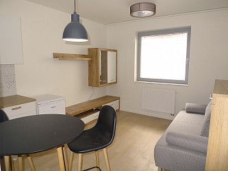 Pronájem novostavby ateliéru 1+kk, Mlýnská