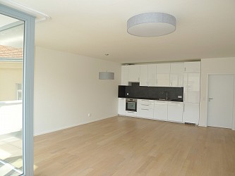Pronájem novostavby bytu 3+kk, Mlýnská