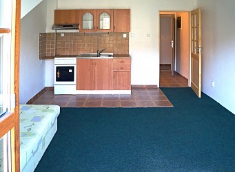 Pronájem bytu 1+kk 30m2 s balkonem Brno Žabovřesky