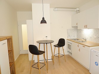Pronájem ateliéru 1+kk, Mlýnská
