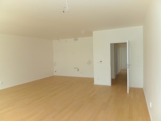 Prodej novostavby 3+kk, Mlýnská.
