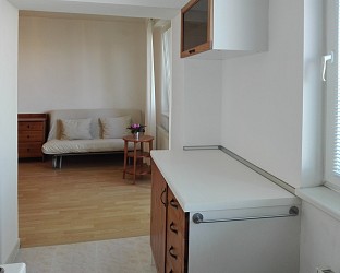 Pronájem bytu 1+kk s parkovacím stáním, Staňkova.