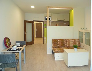 Pronájem novostavby bytu 1+kk s lodžií, Vídeňská